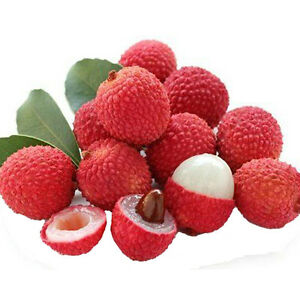 White Musk + Lychee